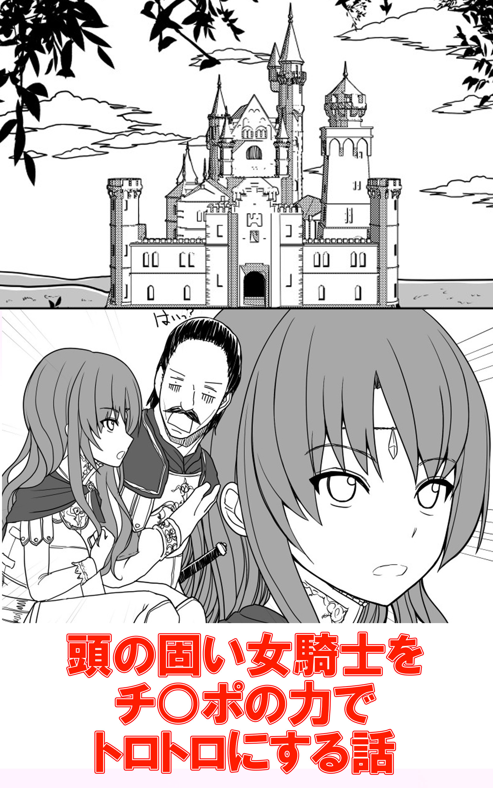 頭の固い女騎士をチ○ポの力でトロトロにする話