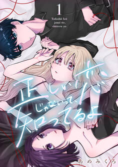 正しい恋じゃないって、知ってるよ 1巻