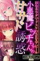 小悪魔ビッチちゃんの甘サド誘惑 ~HなカラダでドスケベSEXアピール~【CG集コレクションBIG】