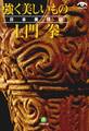 土門拳 強く美しいもの 日本美探訪(小学館文庫)