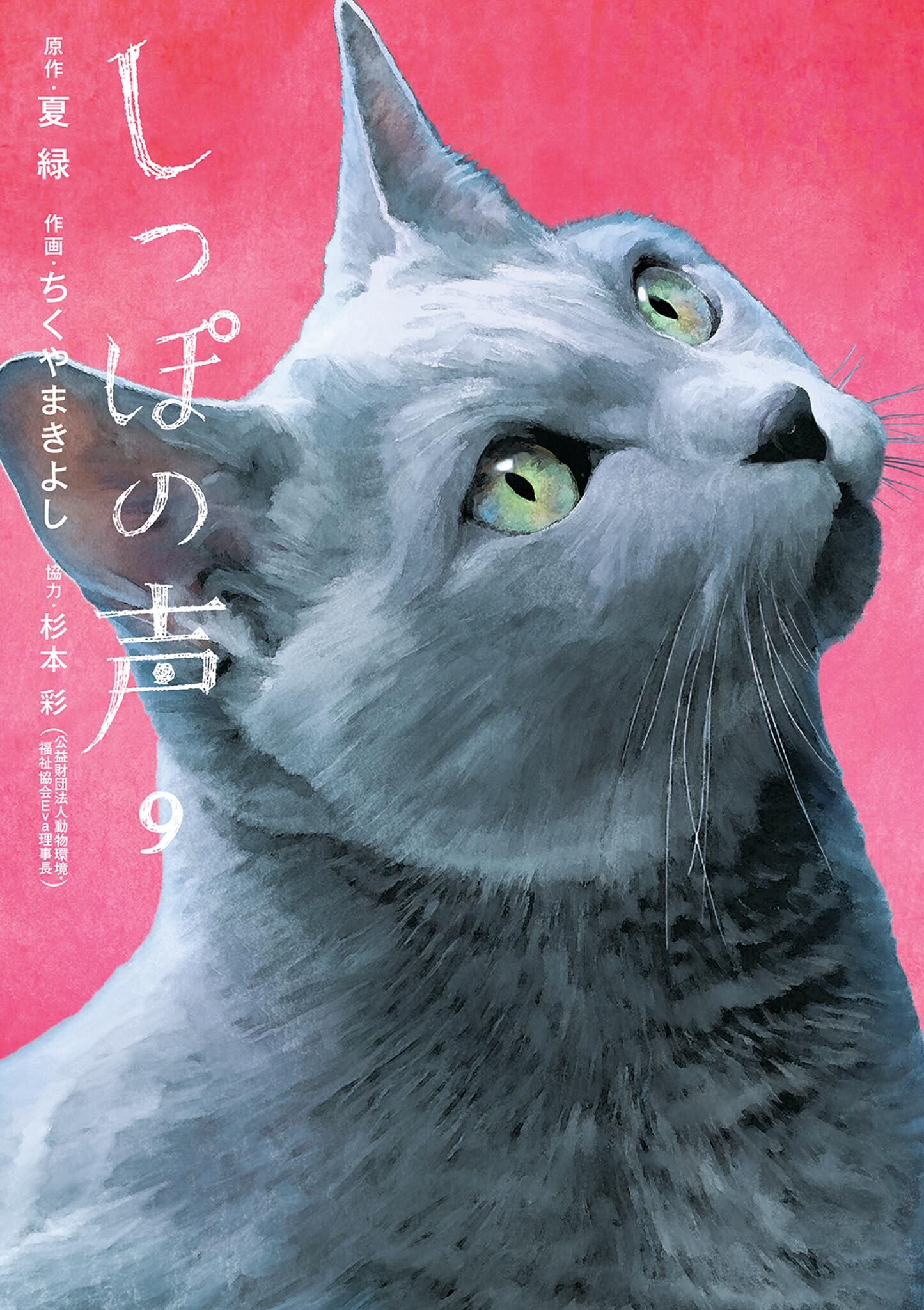 しっぽの声 無料 試し読みなら Amebaマンガ 旧 読書のお時間です