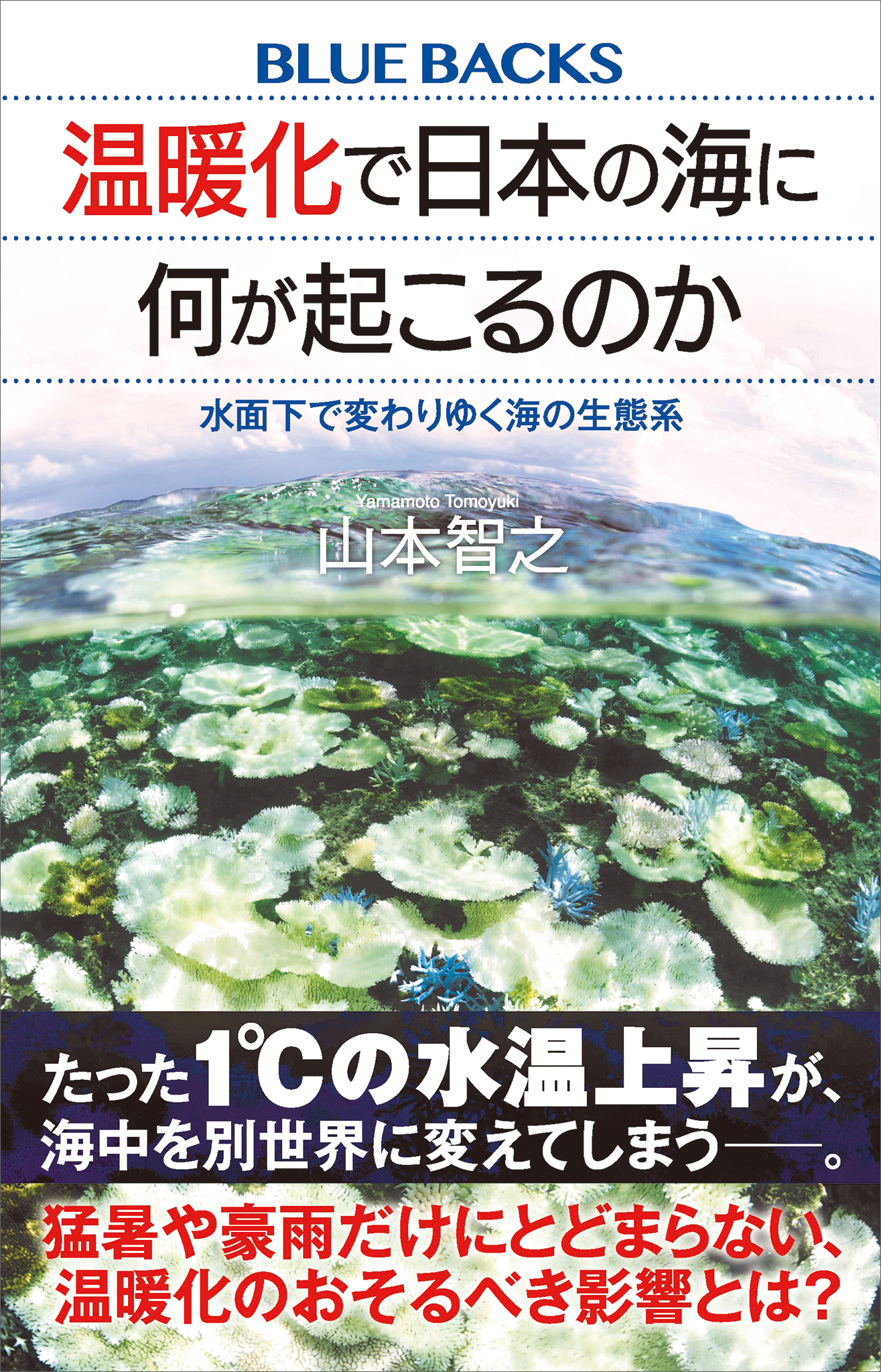 温暖化で日本の海に何が起こるのか　水面下で変わりゆく海の生態系