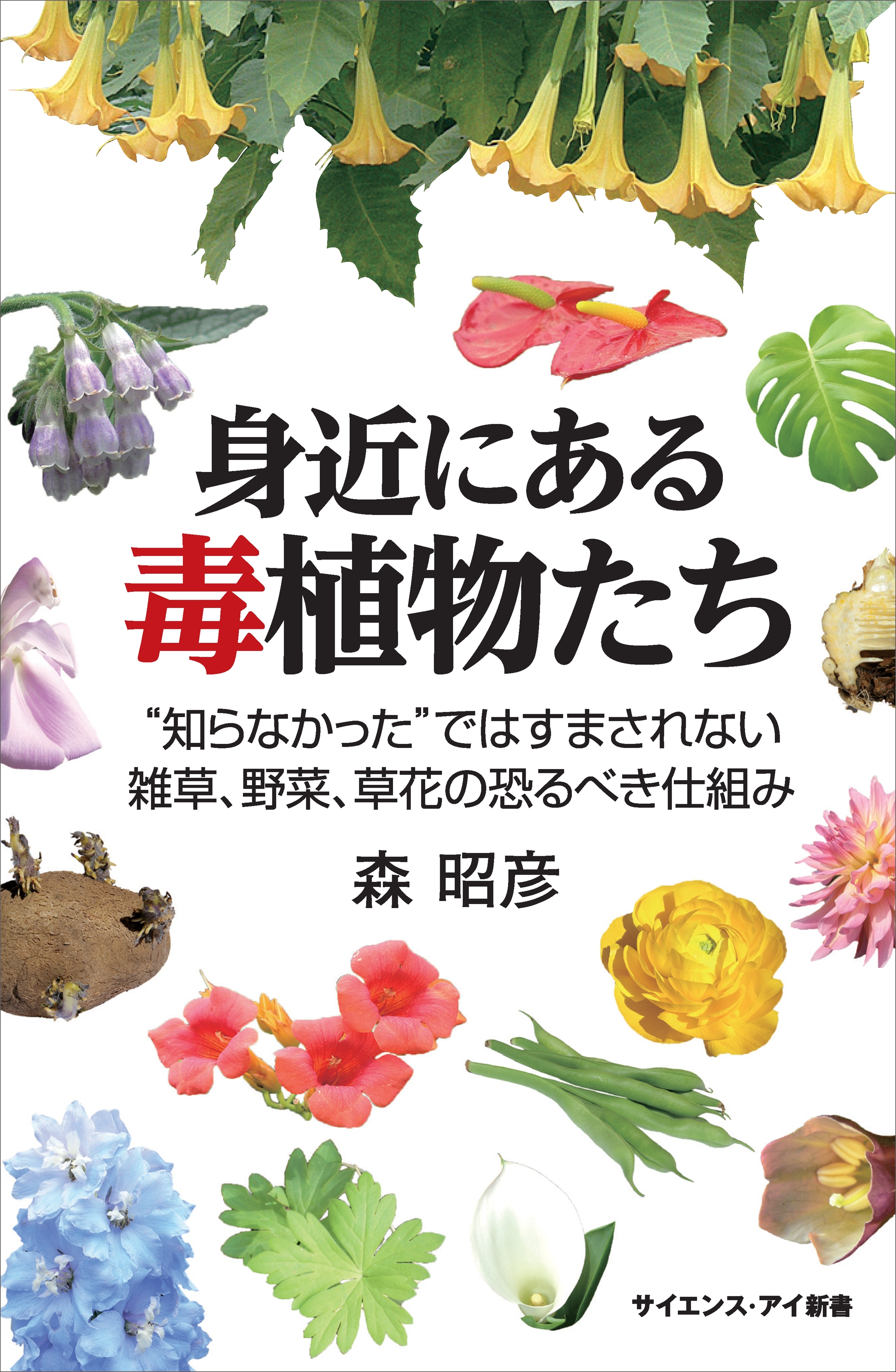 身近にある毒植物たち