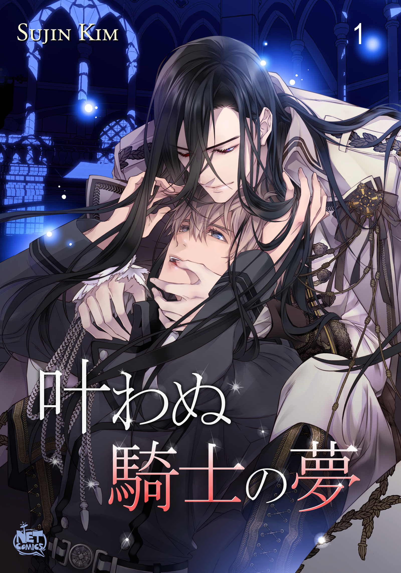 叶わぬ騎士の夢1