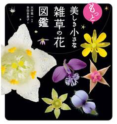 もっと美しき小さな雑草の花図鑑