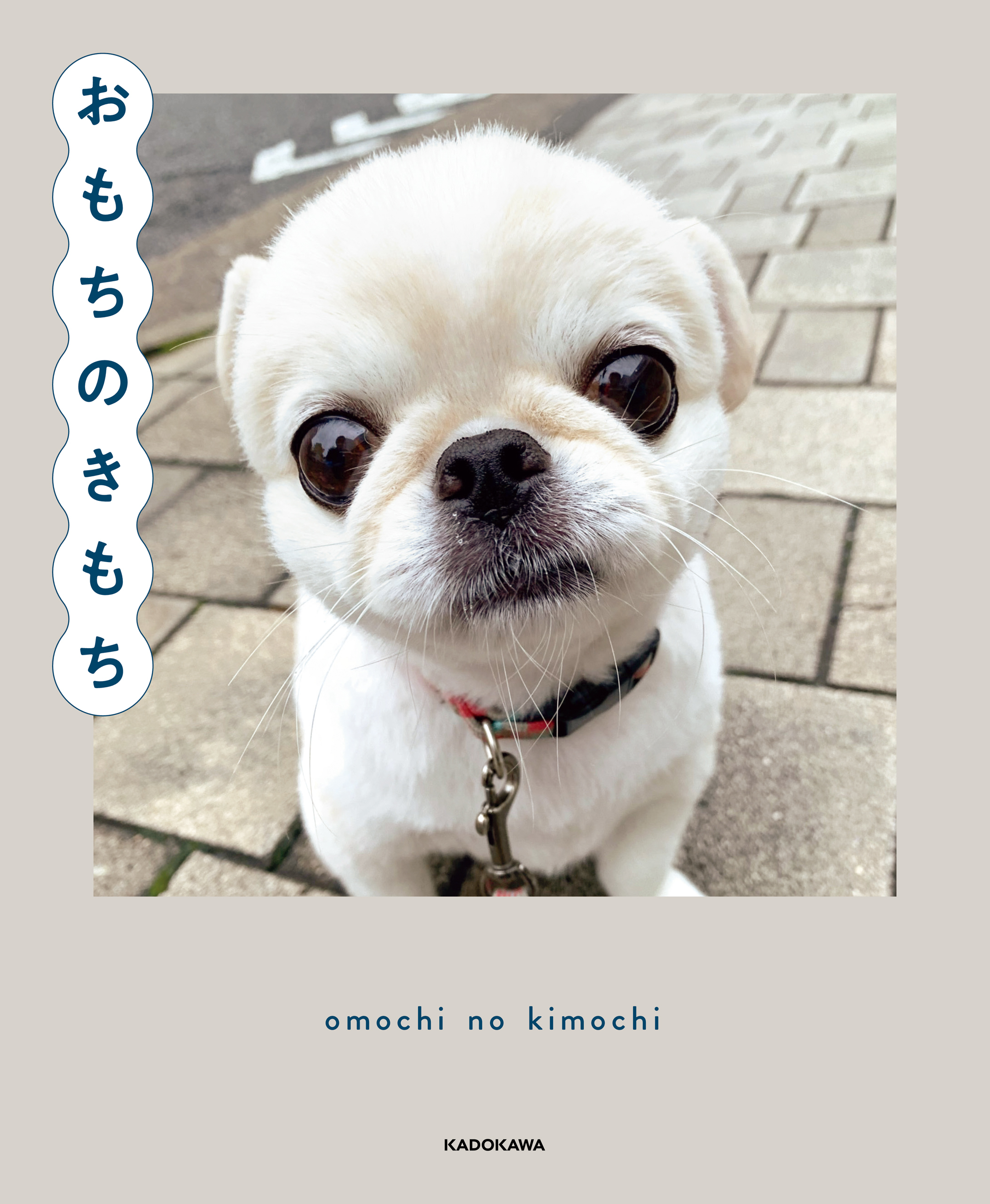 おもちのきもち