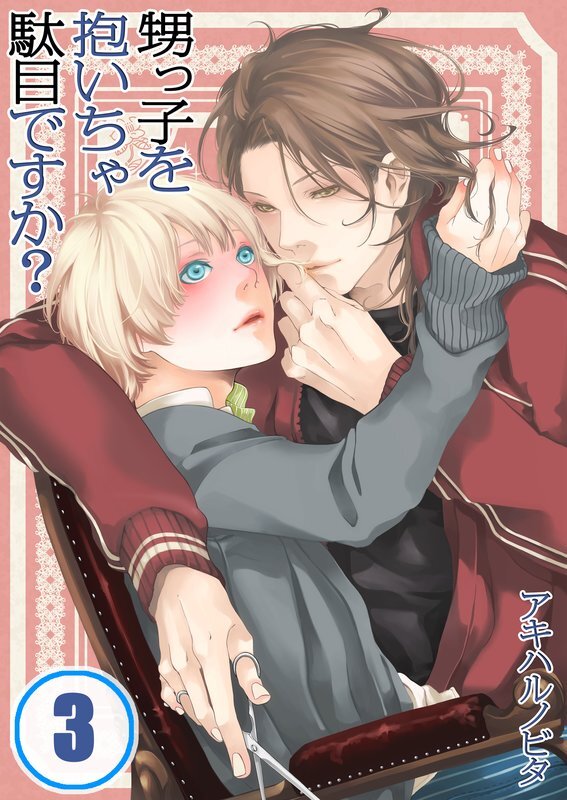 甥っ子を抱いちゃ駄目ですか?【分冊版】 (3)