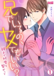 兄でいるの、ヤメてもいい？～朝まで何度も繋がって～(1)