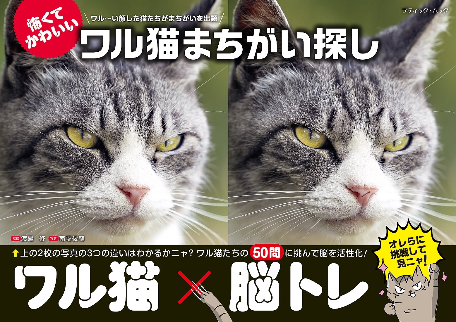 ワル猫まちがい探し