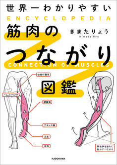 世界一わかりやすい 筋肉のつながり図鑑