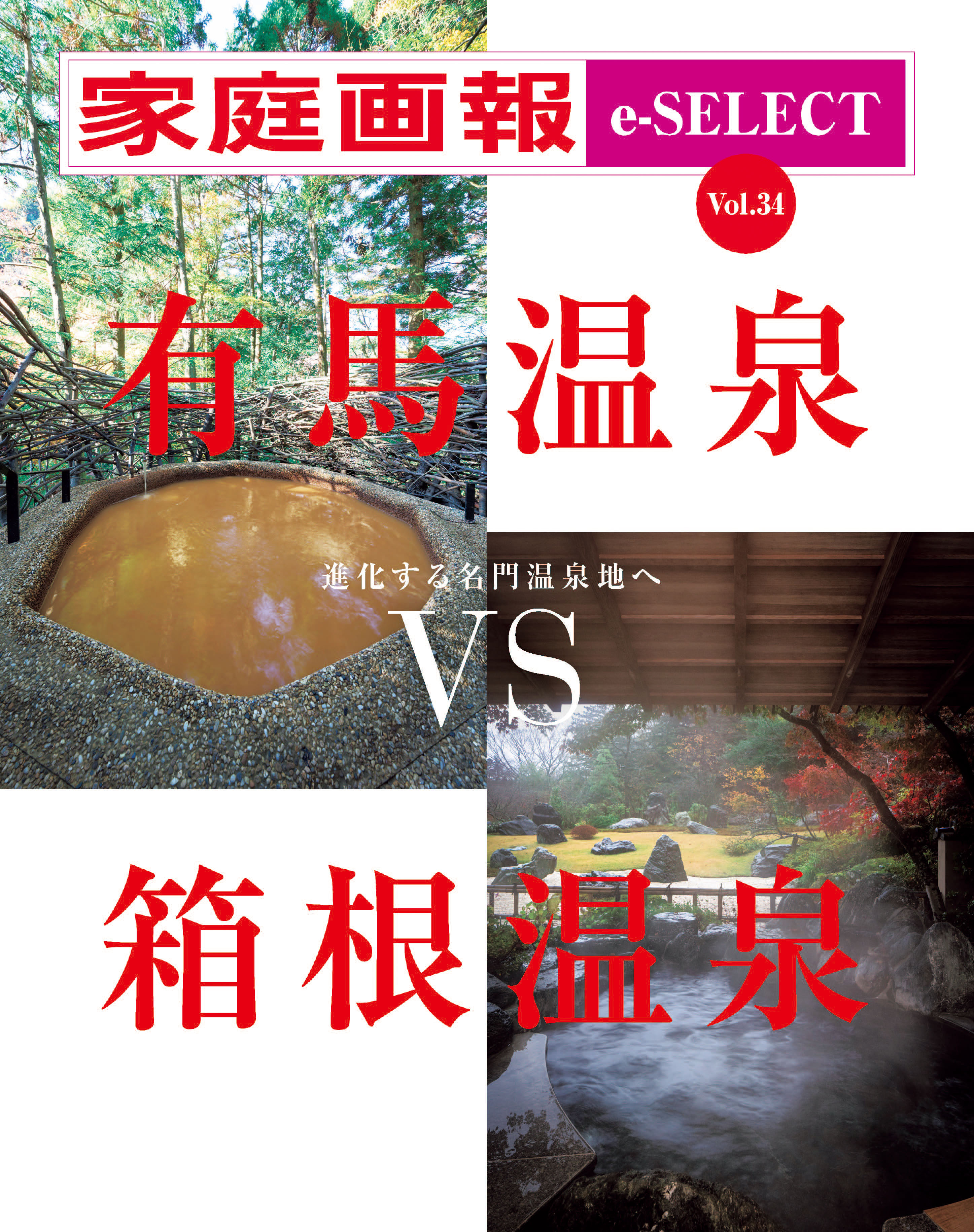 家庭画報 e-SELECT Vol.34 有馬温泉VS箱根温泉[雑誌]
