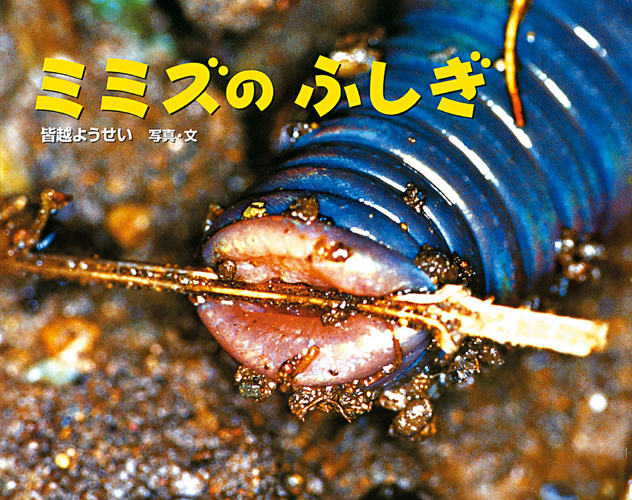 ミミズの　ふしぎ