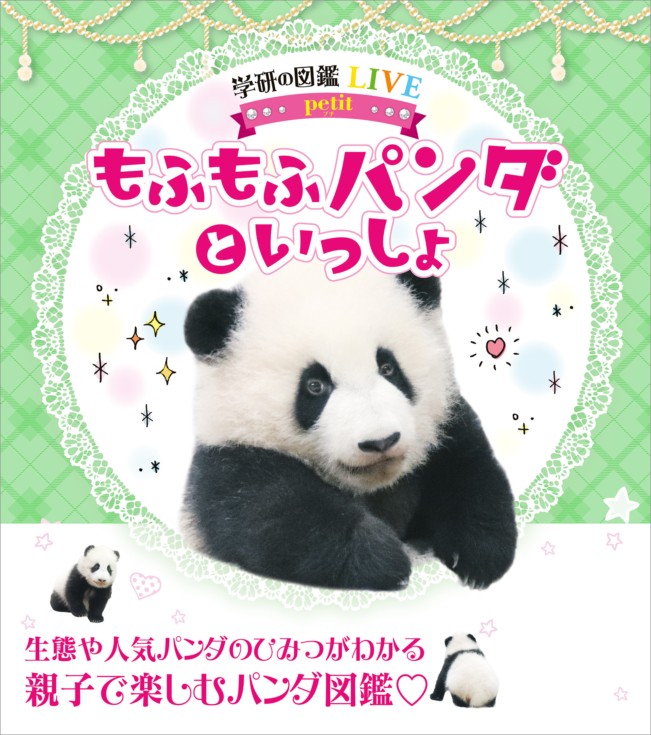 もふもふパンダといっしょ