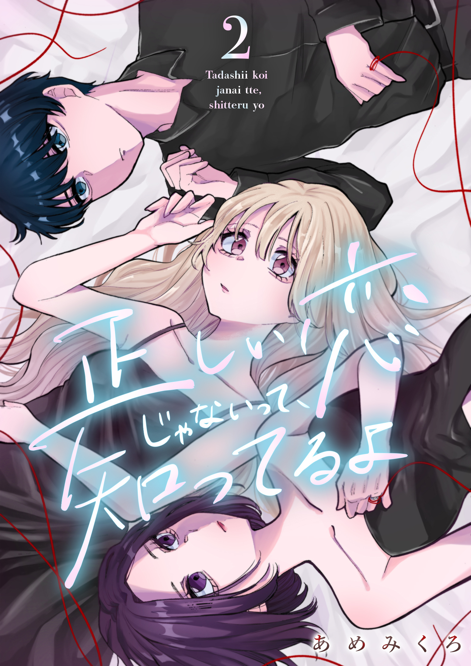 正しい恋じゃないって、知ってるよ 2巻