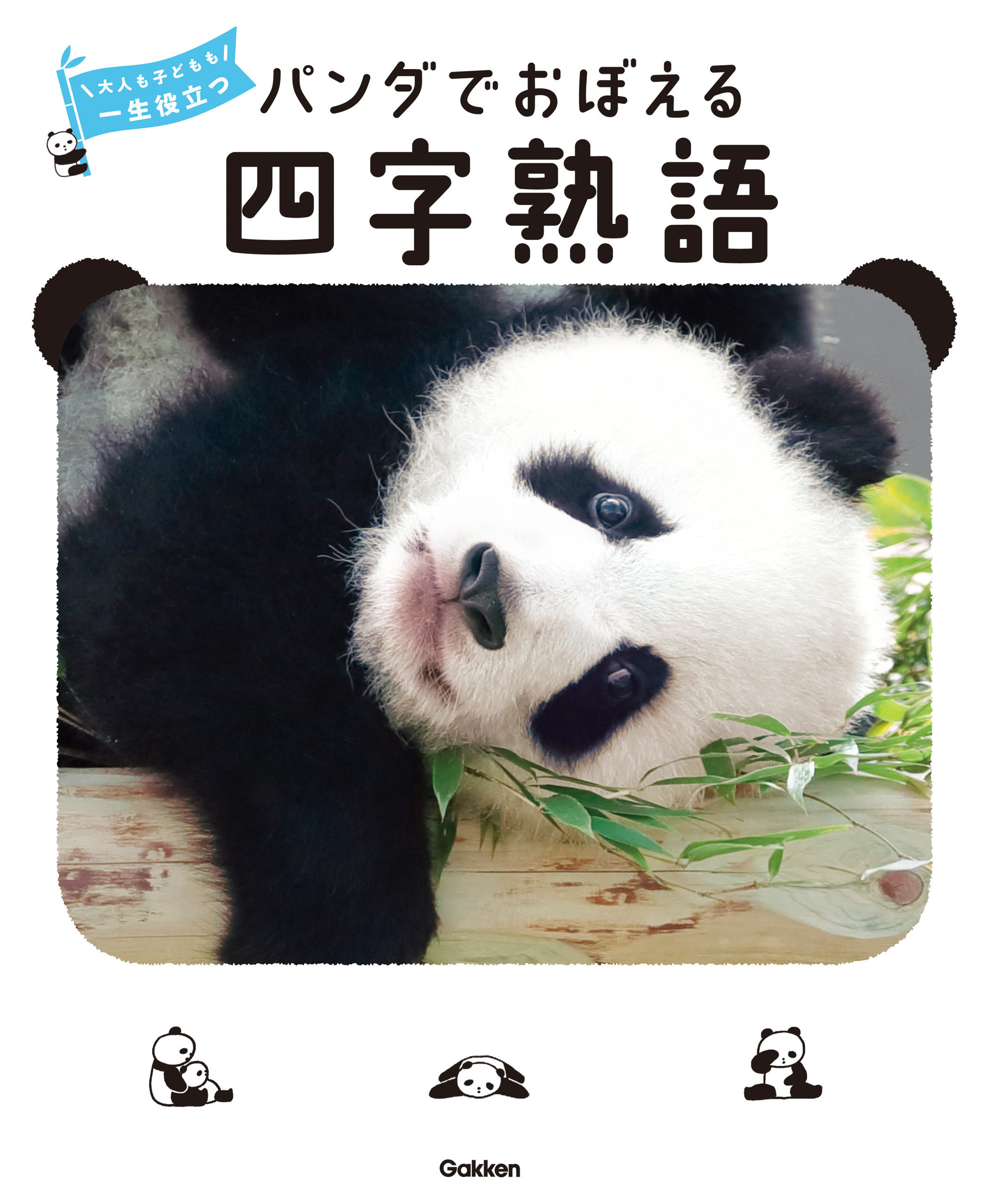 パンダでおぼえる 四字熟語 大人も子どもも 一生役立つ