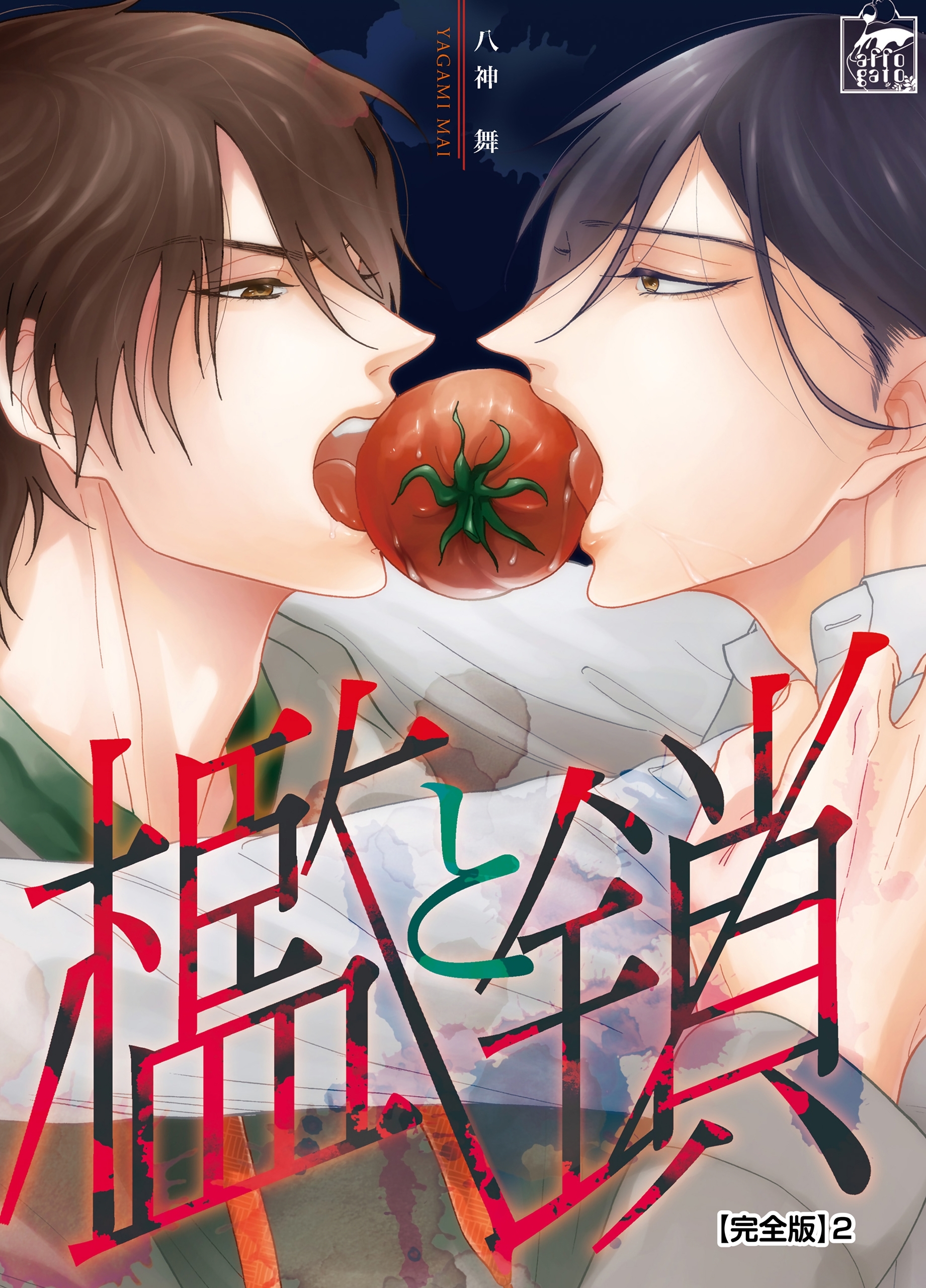 檻と鎖【完全版】2