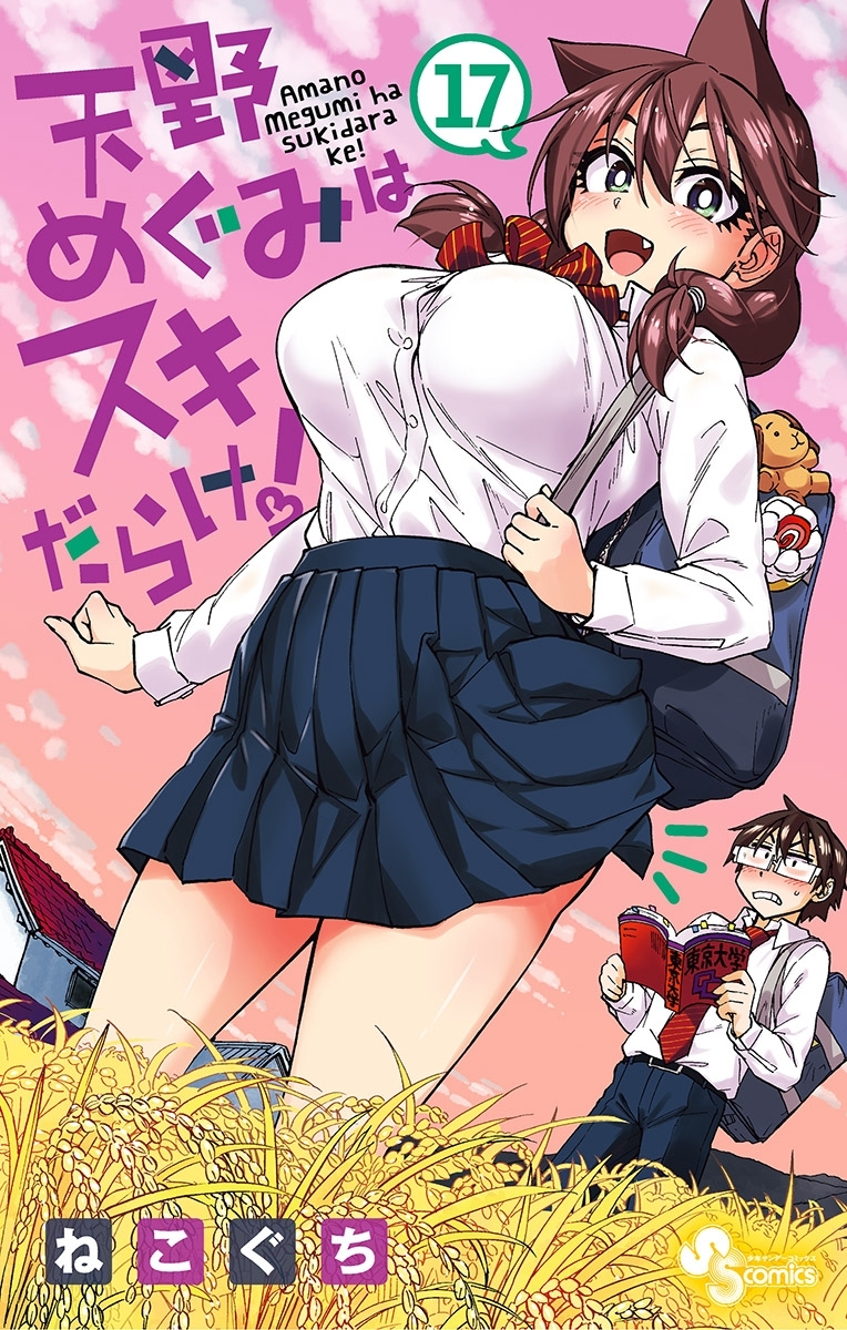 天野めぐみはスキだらけ！ 17