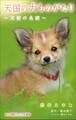 小学館ジュニア文庫 天国の犬ものがたり~天使の名前~