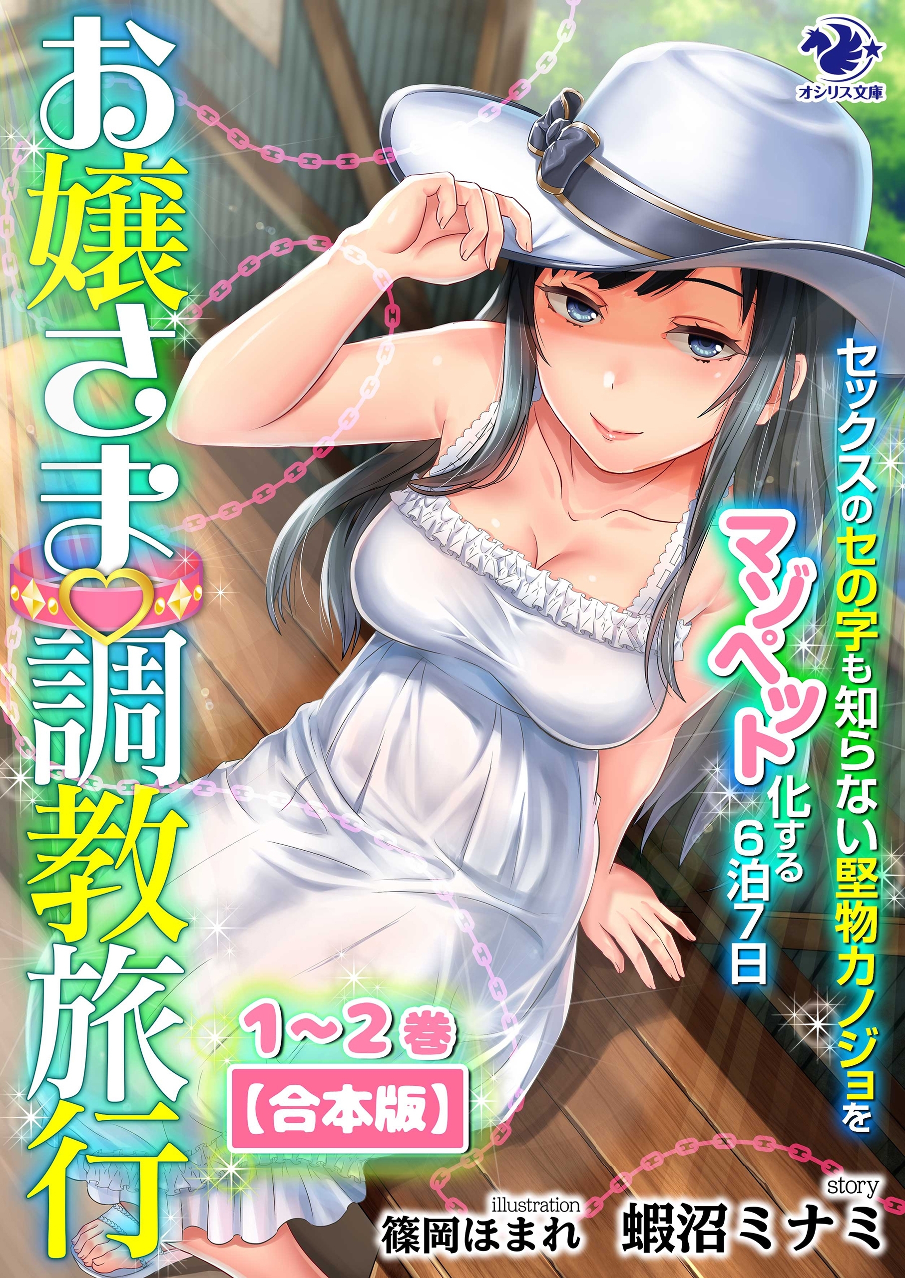 【合本版】お嬢さま調教旅行