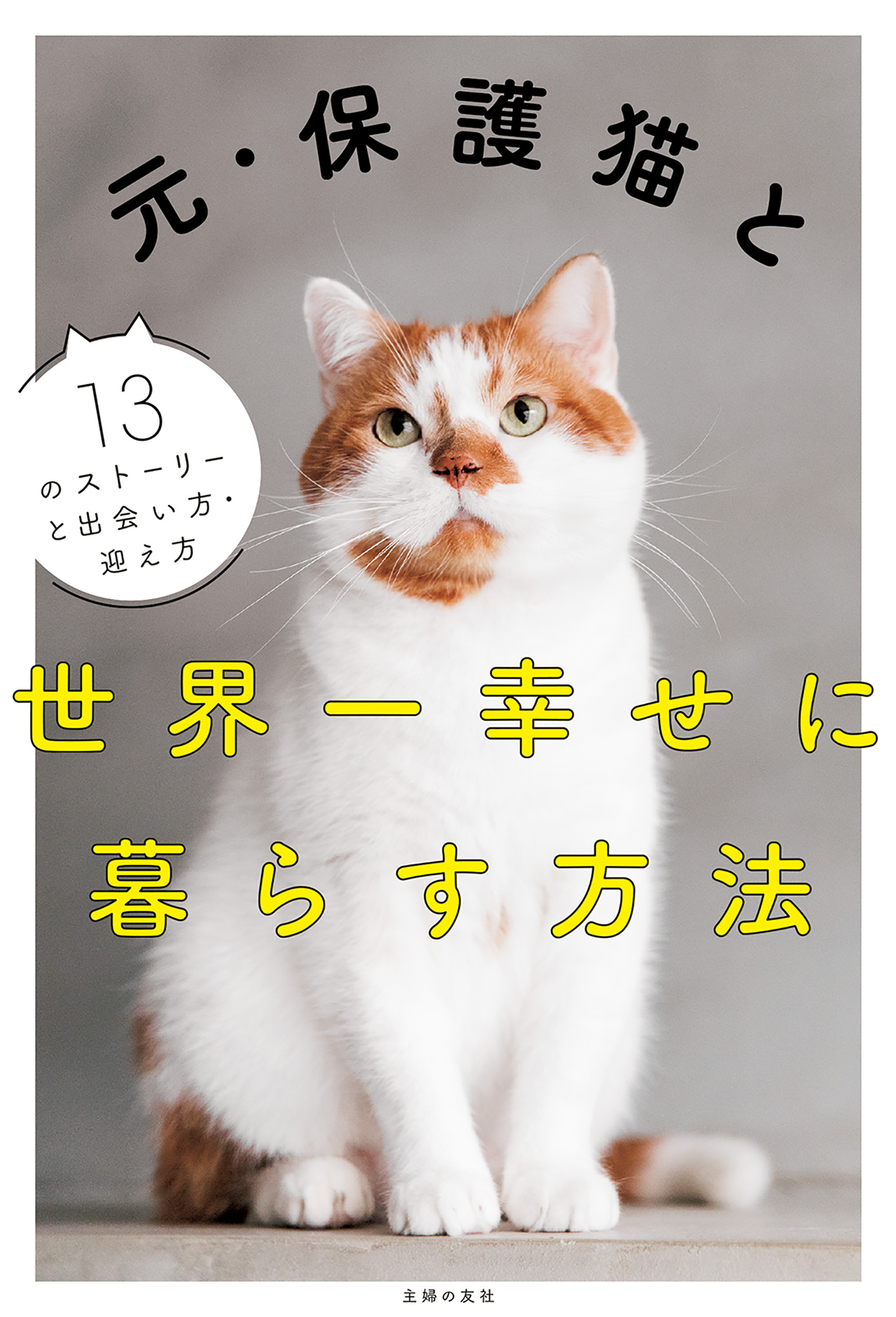 元・保護猫と世界一幸せに暮らす方法