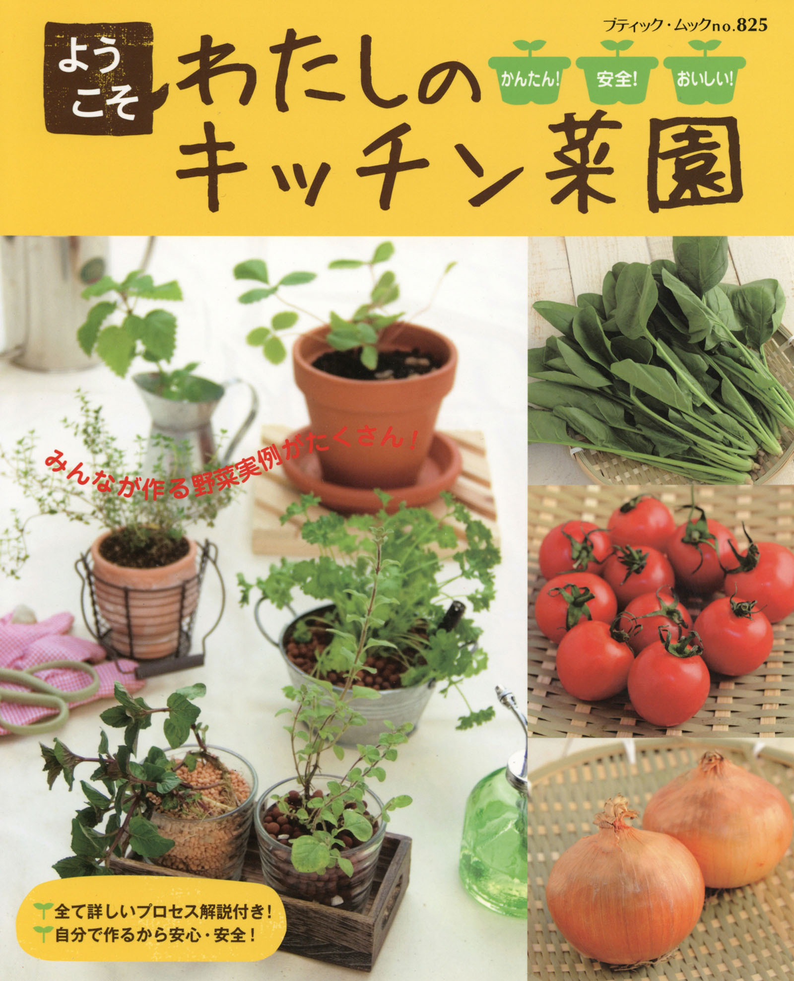 ようこそわたしのキッチン菜園