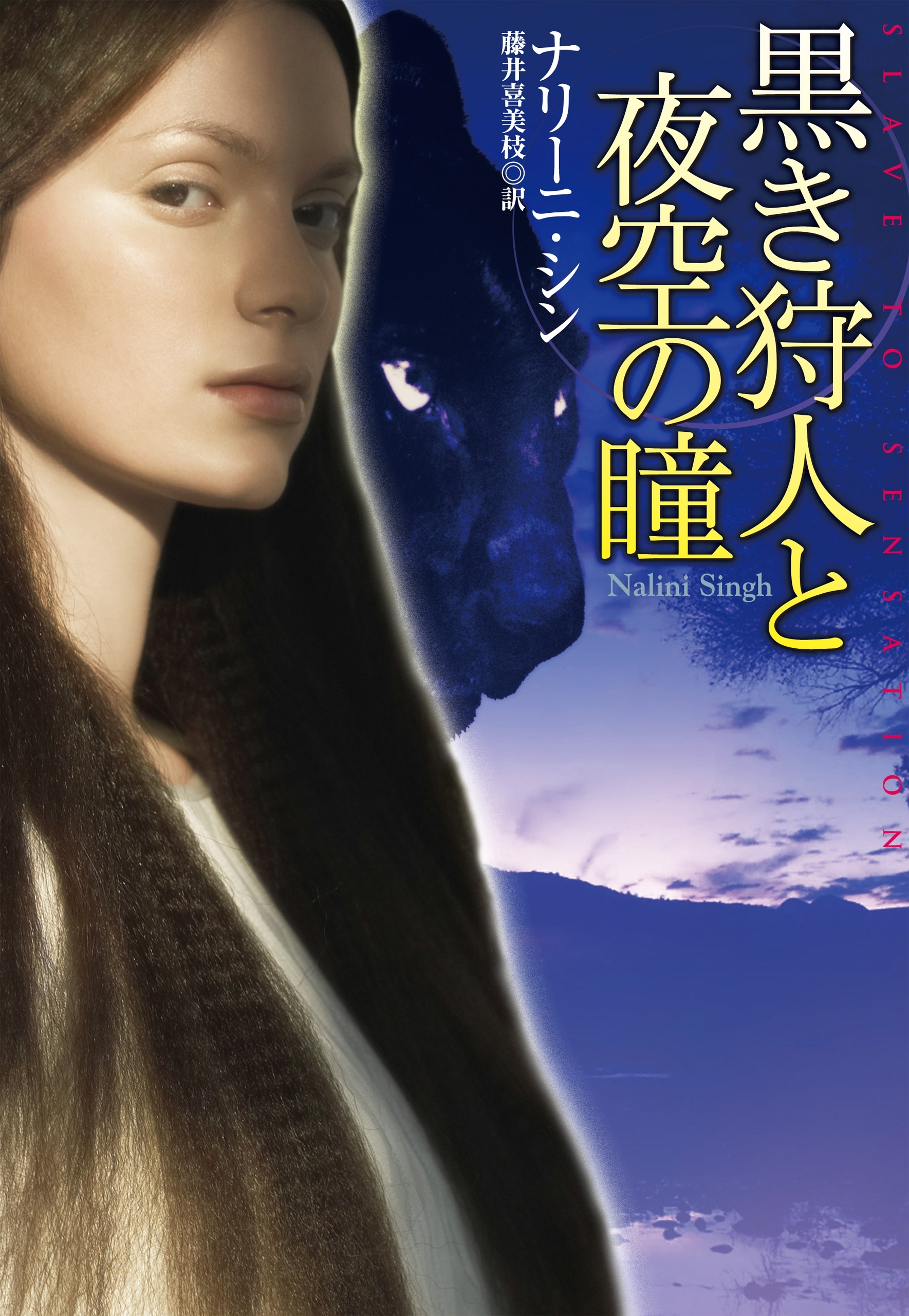 黒き狩人と夜空の瞳