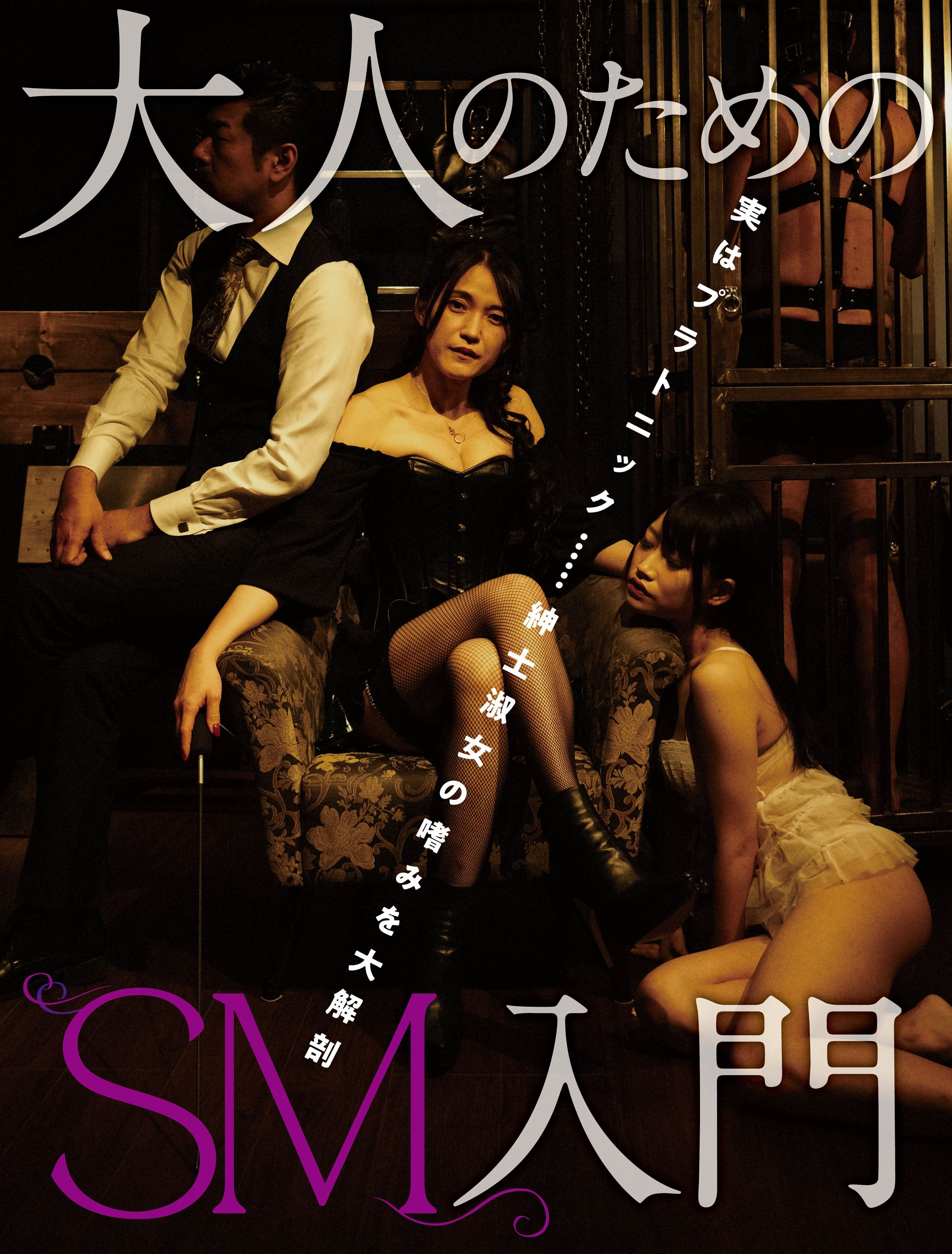 大人のためのSM入門