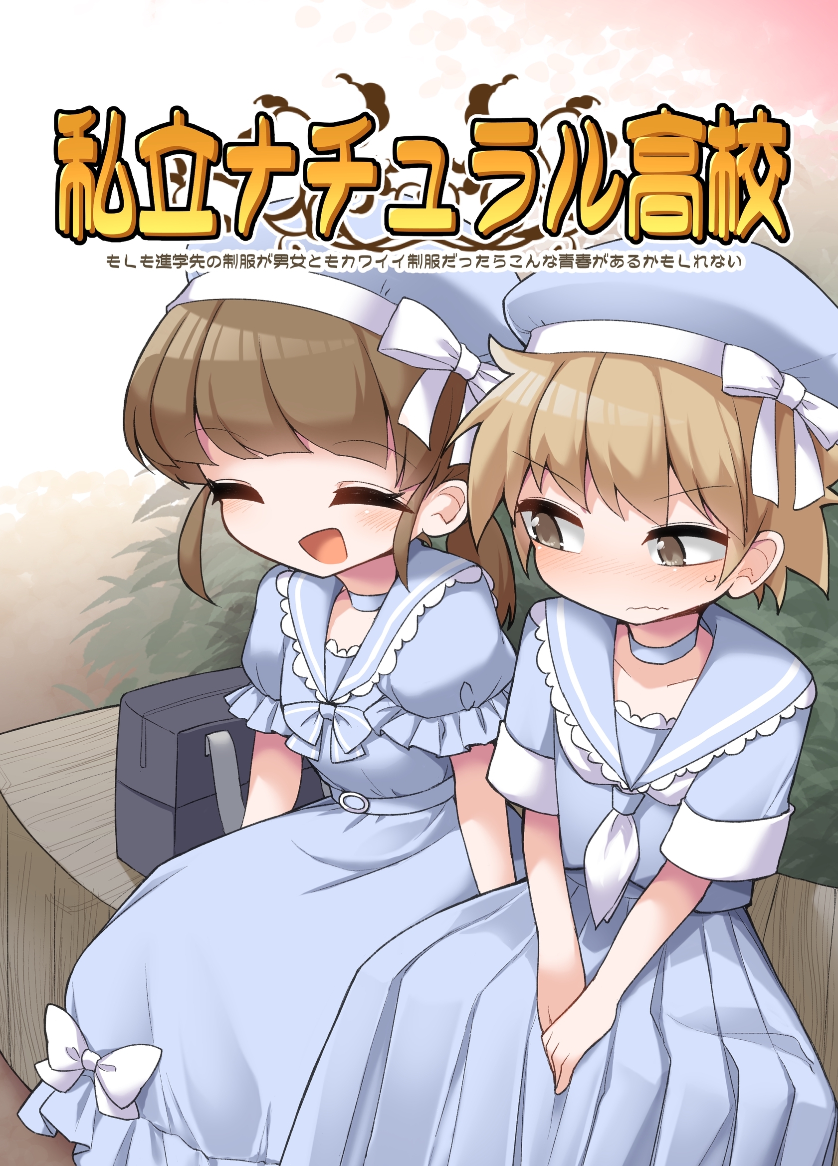 私立ナチュラル高校