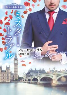 ミスター・トラブル【ハーレクイン文庫版】