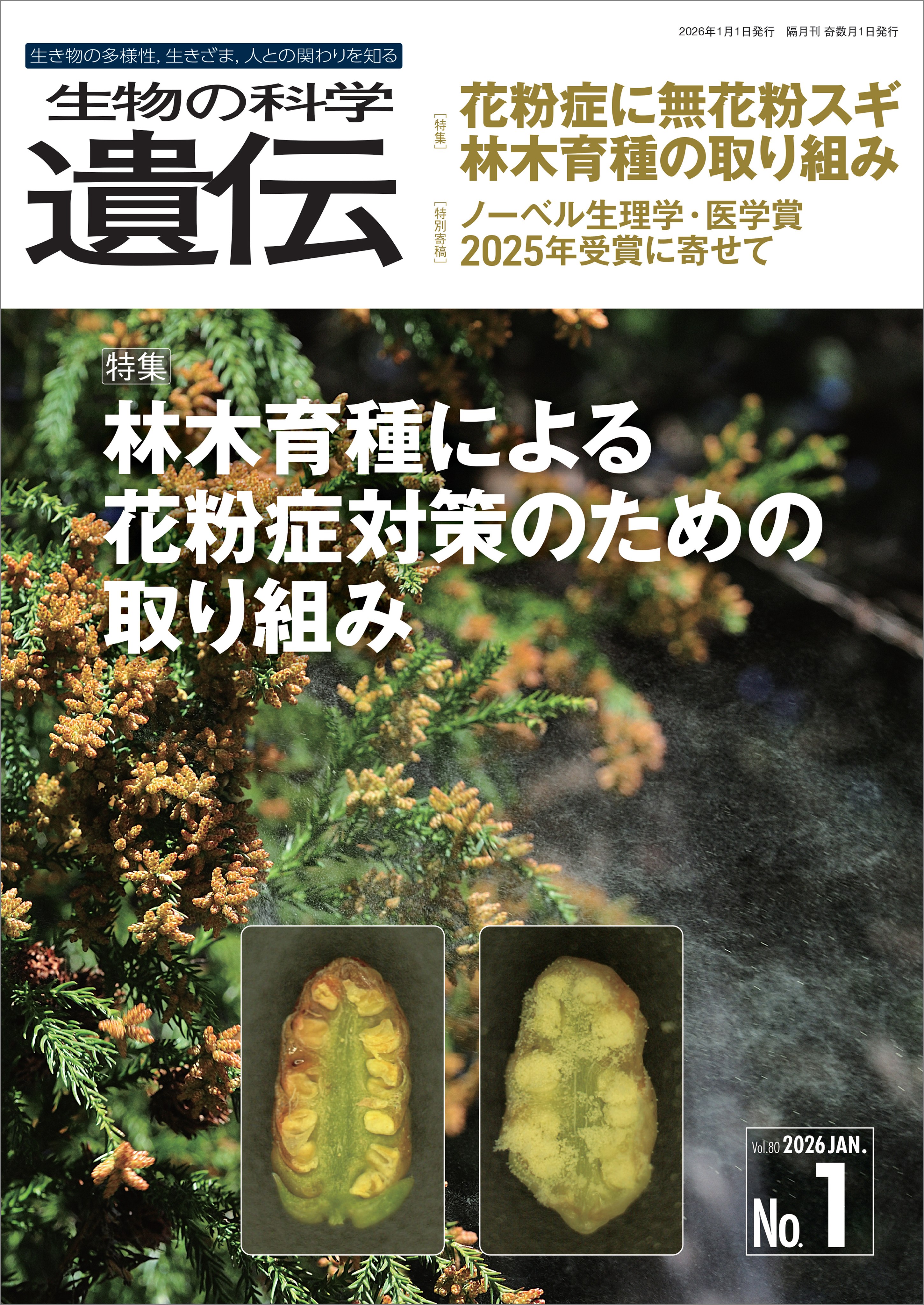 生物の科学 遺伝 2026年1月発行号 Vol.80 No.1