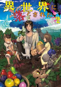 異世界に落とされた…浄化は基本!2【電子書籍限定書き下ろしSS付き】
