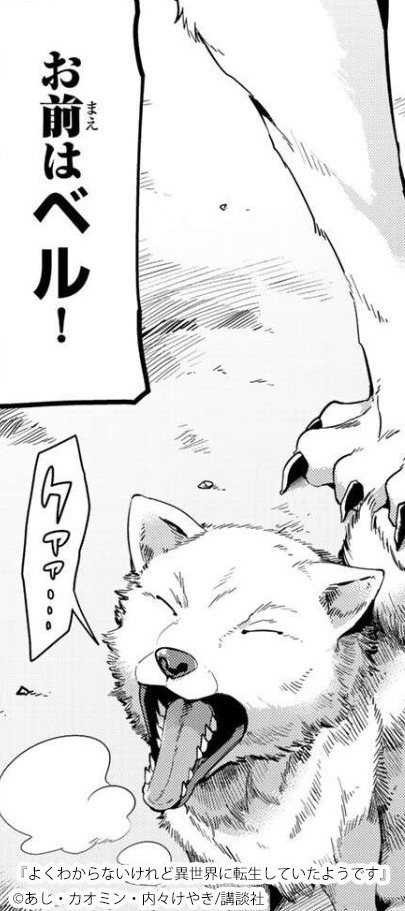 よくわからないけれど異世界に転生していたようです は面白い あらすじや登場人物 見どころを紹介 Amebaマンガ 旧 読書のお時間です