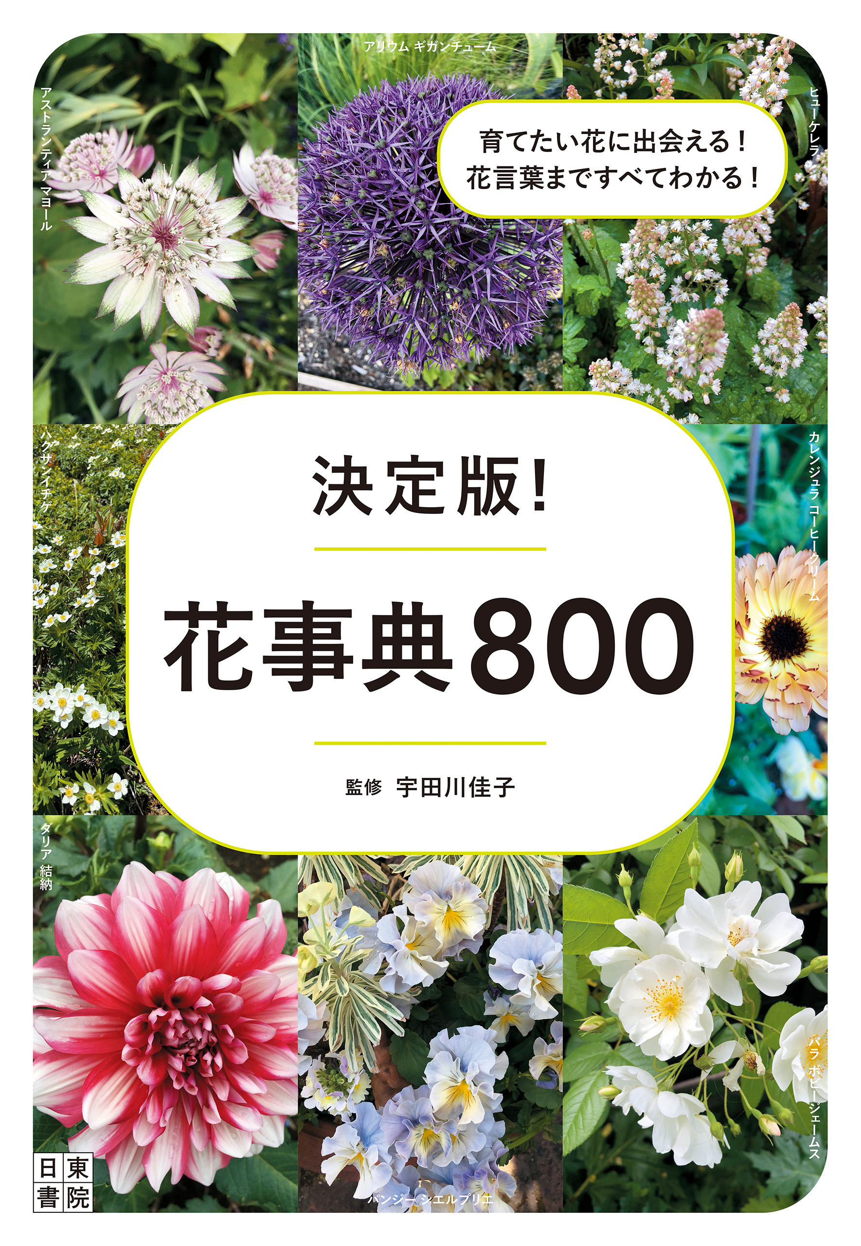 決定版! 花事典800