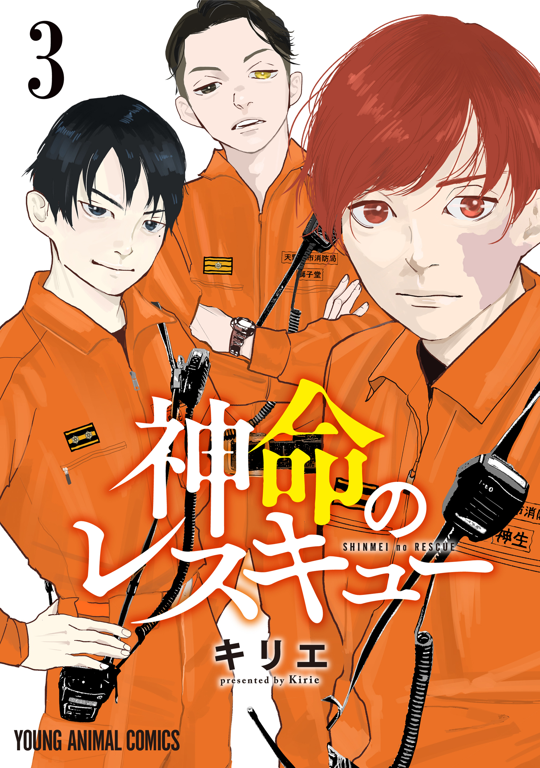 神命のレスキュー（３）