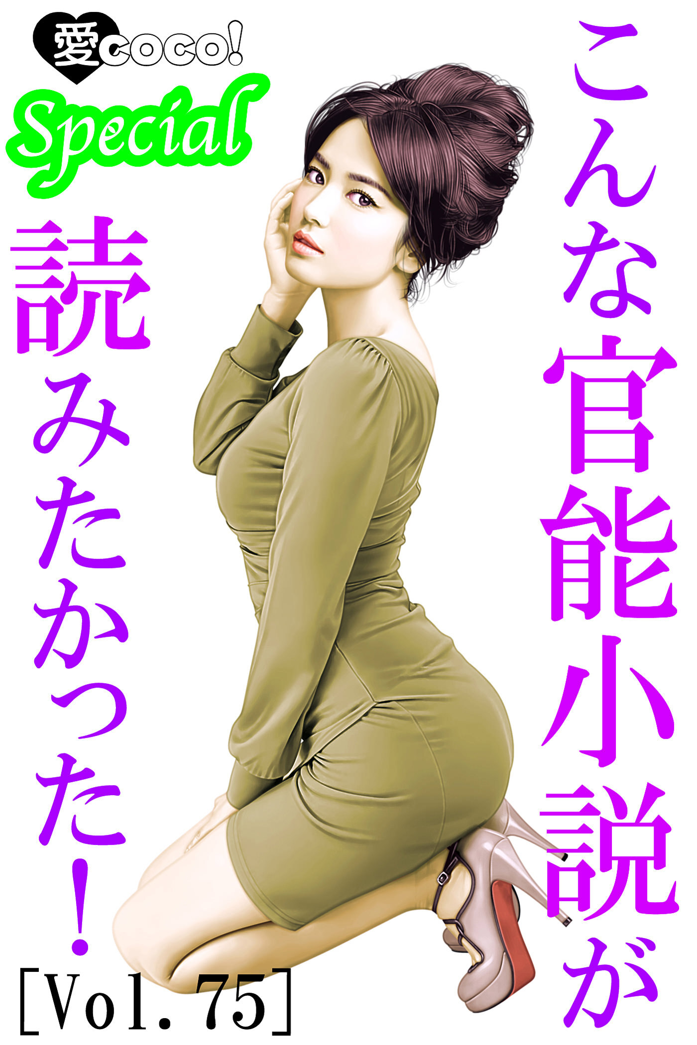 こんな官能小説が読みたかった！vol.75