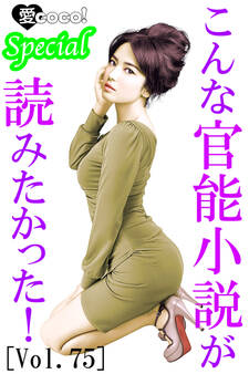 こんな官能小説が読みたかった!vol.75