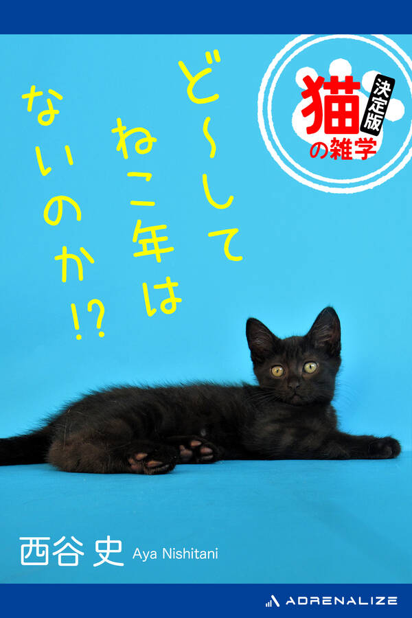 ど~してねこ年はないのか!?1巻(最新刊)西谷史人気マンガを毎日無料で配信中! 無料・試し読み・全巻読むならAmebaマンガ ど~してねこ年はないのか!?1巻(最新刊)西谷史人気マンガを毎日無料で配信中! 無料・試し読み・全巻読むならAmebaマンガ