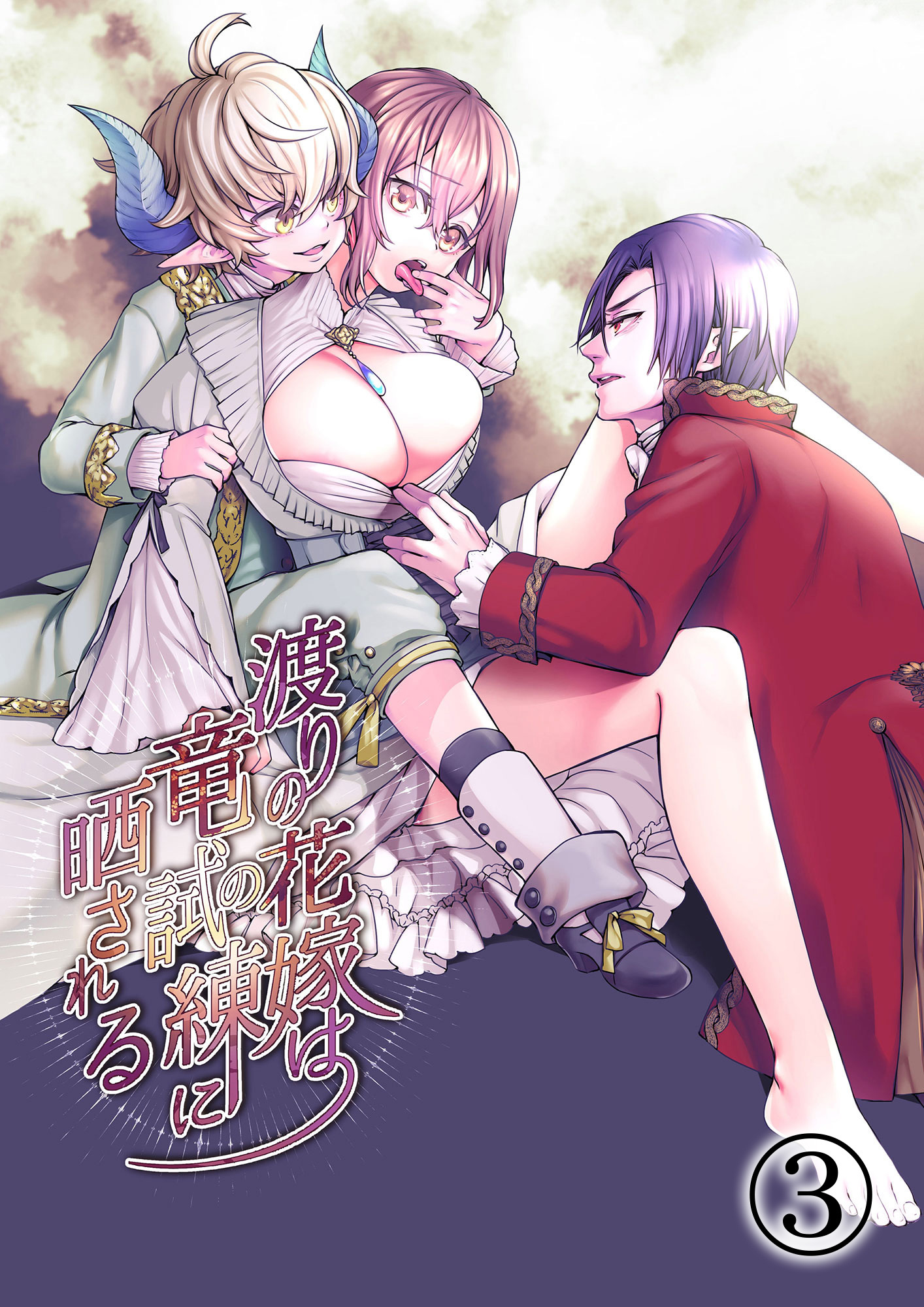 渡りの花嫁は竜の試練に晒される3