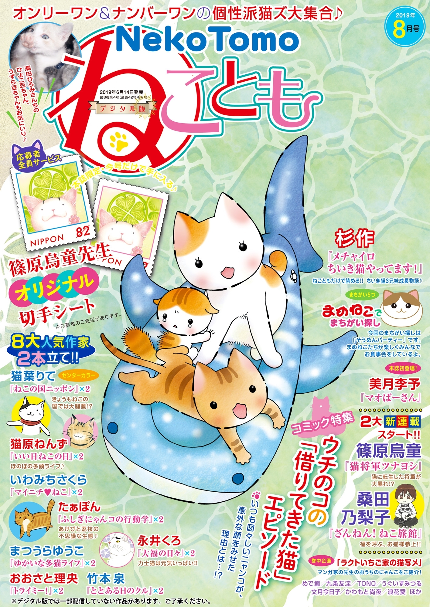 ねこともvol.62