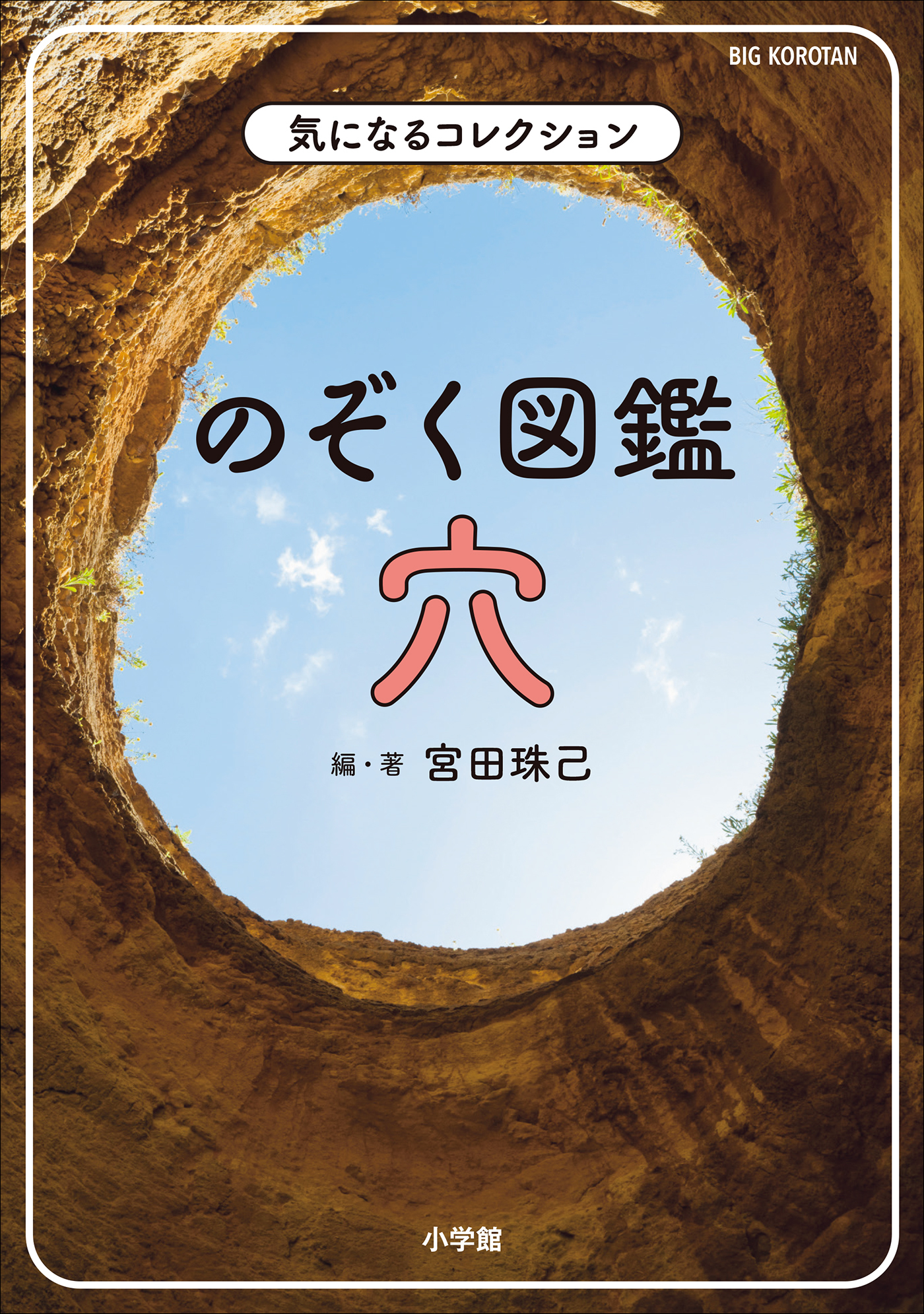 気になるコレクション