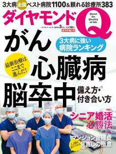 ダイヤモンドQ 創刊準備3号
