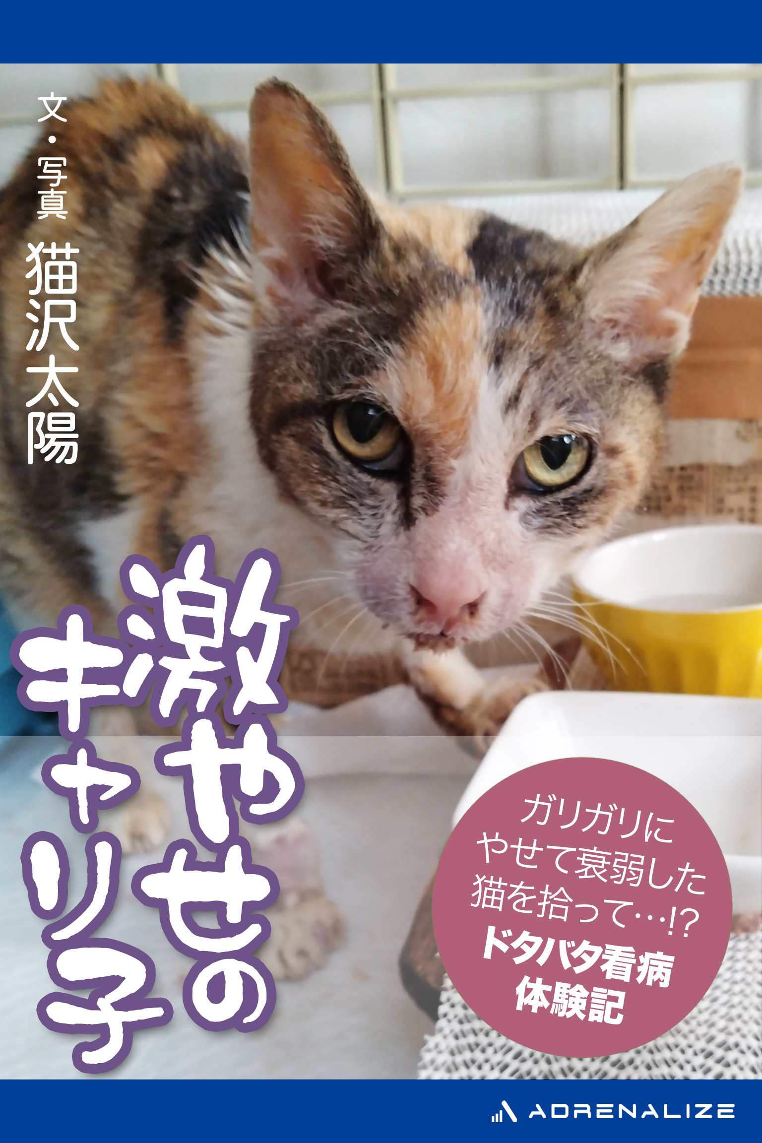 激やせのキャリ子