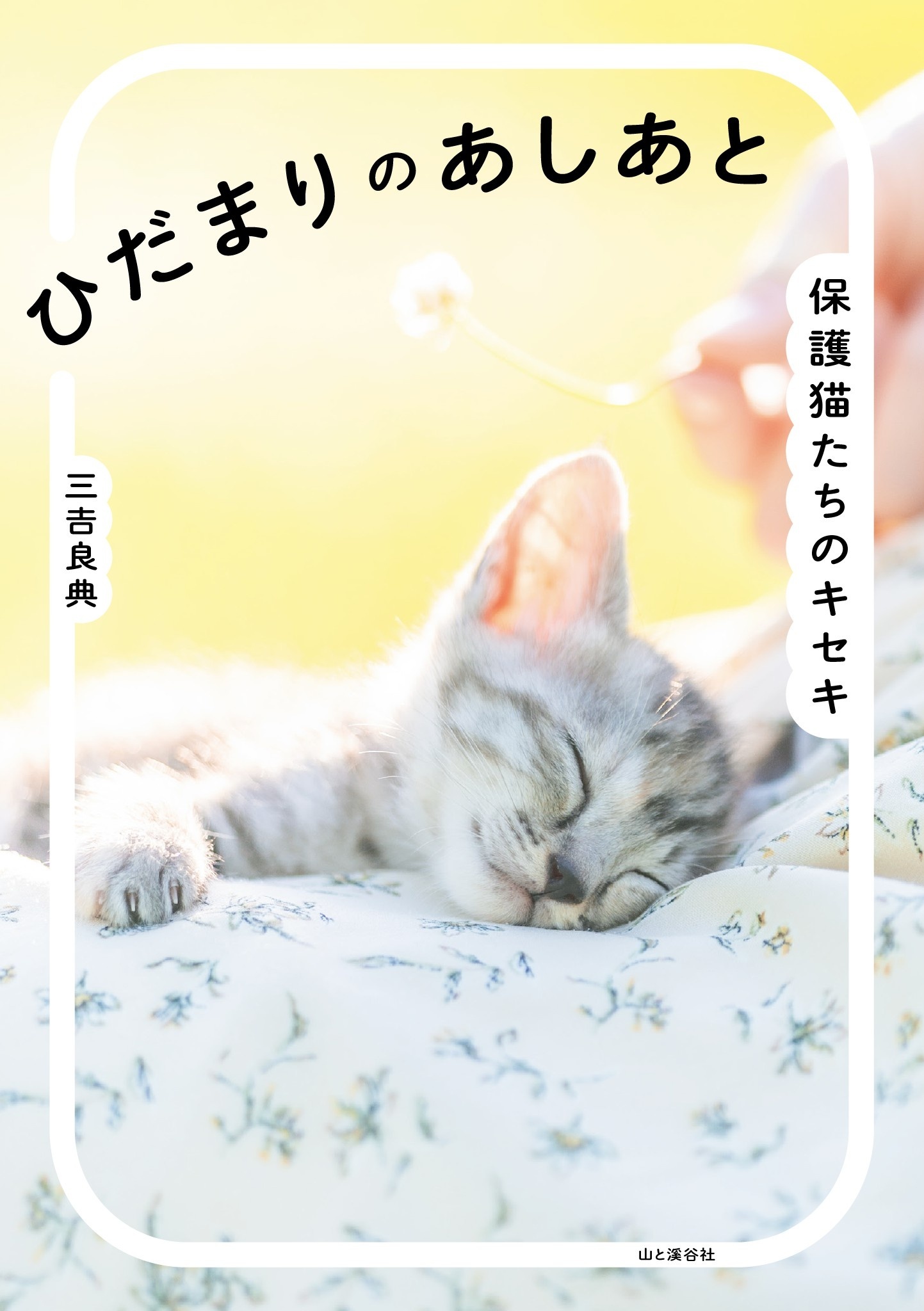 ひだまりのあしあと 保護猫たちのキセキ