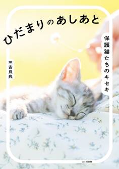 ひだまりのあしあと 保護猫たちのキセキ
