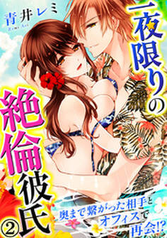 一夜限りの絶倫彼氏~奥まで繋がった相手とオフィスで再会!? 2巻