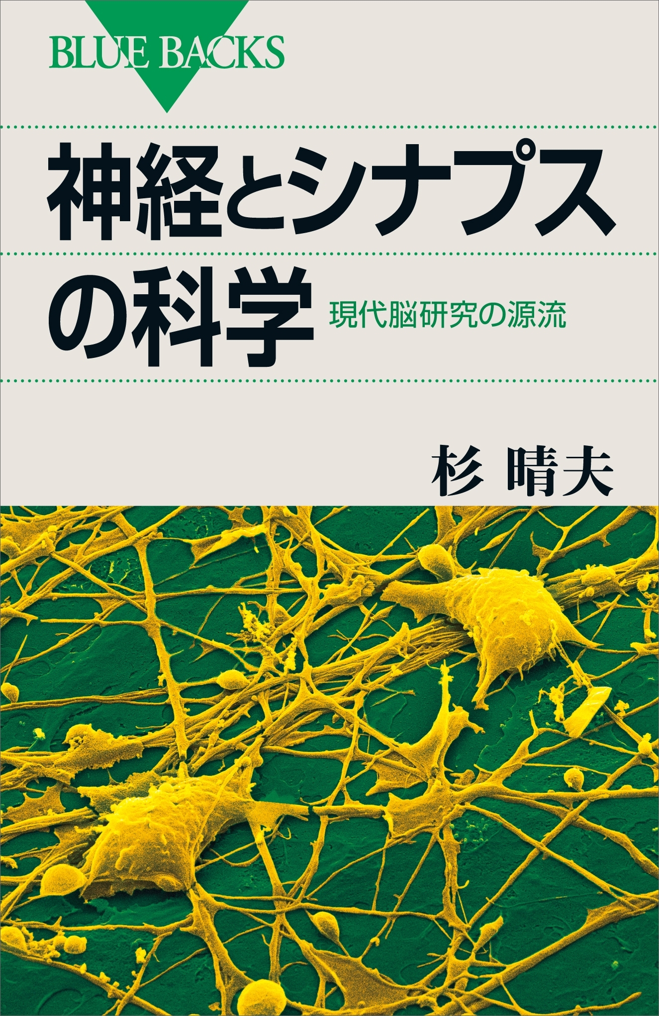 神経とシナプスの科学　現代脳研究の源流