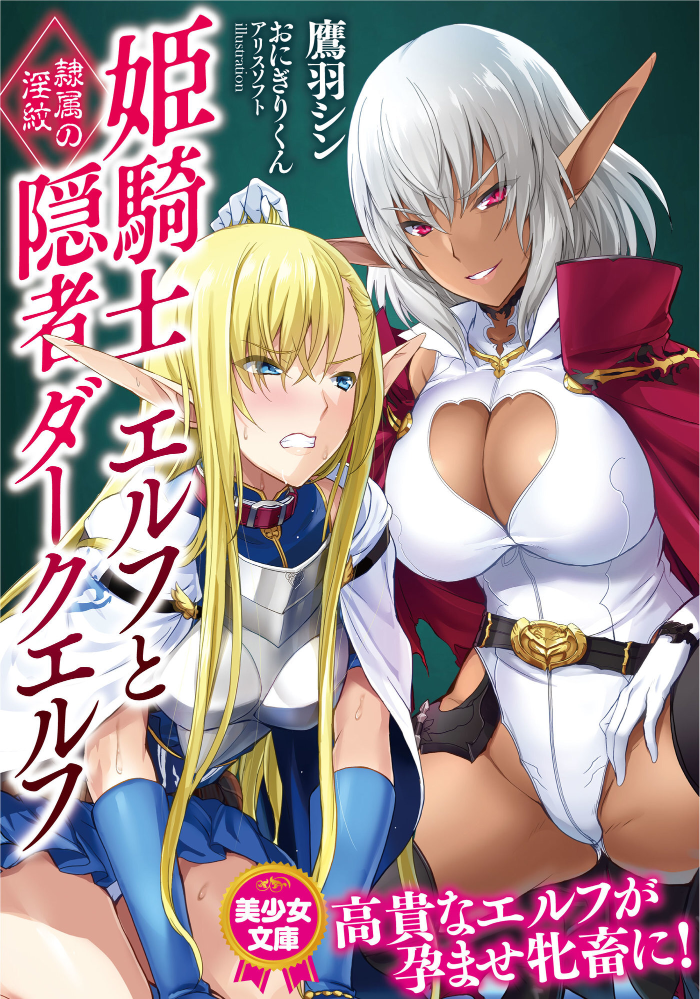 姫騎士エルフと隠者ダークエルフ　隷属の淫紋