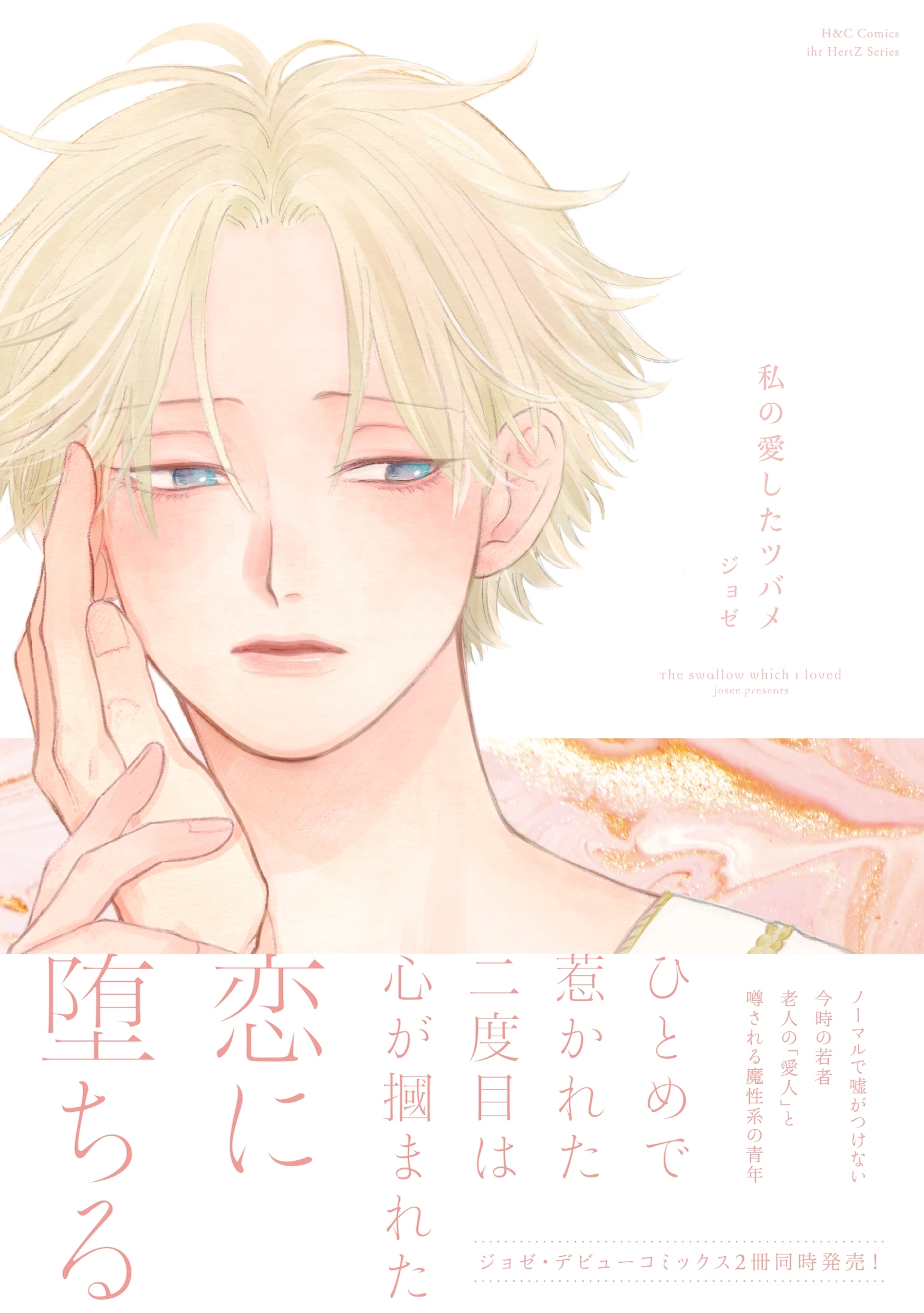 私の愛したツバメ