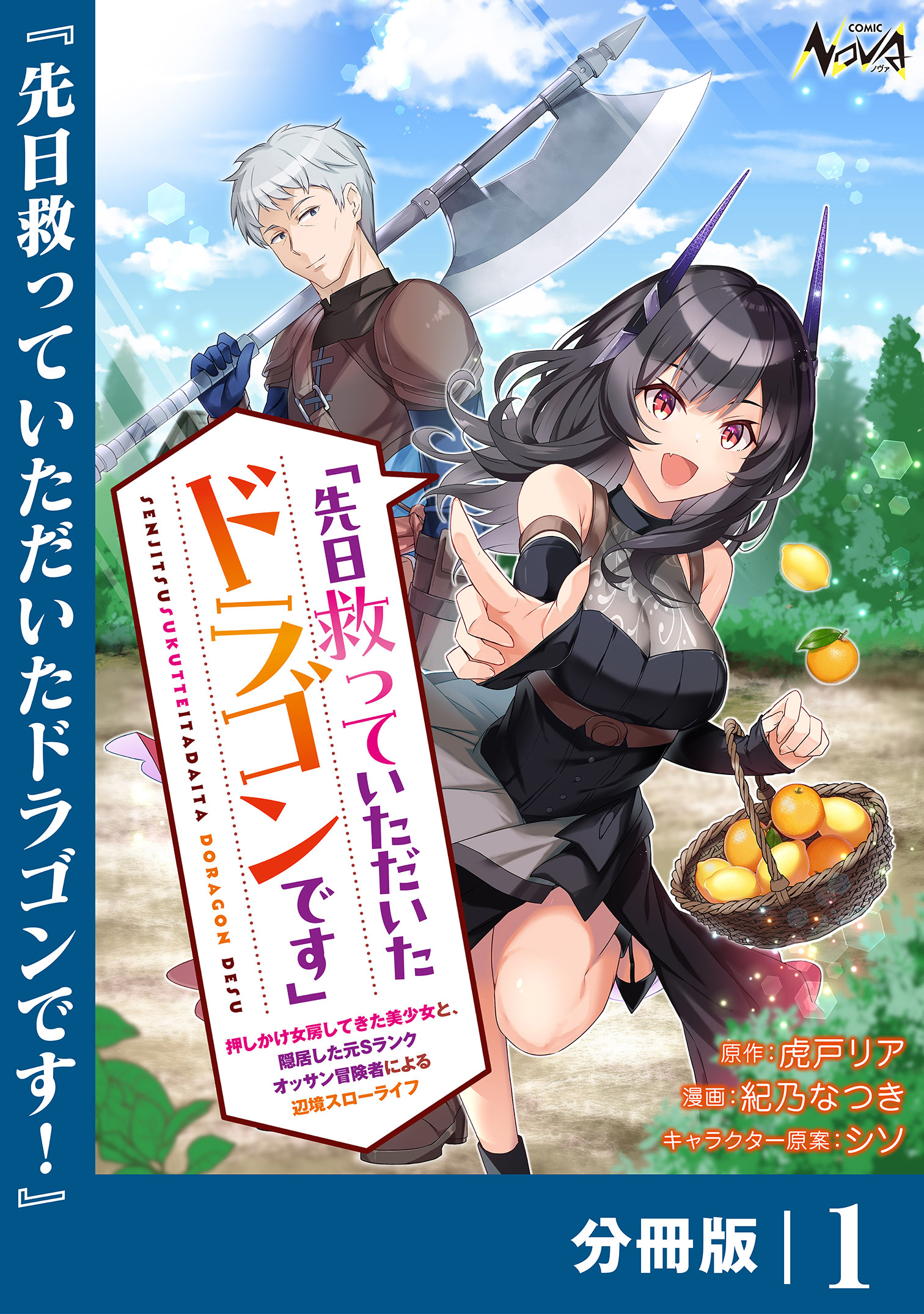 先日救っていただいたドラゴンです【分冊版】（ノヴァコミックス）１