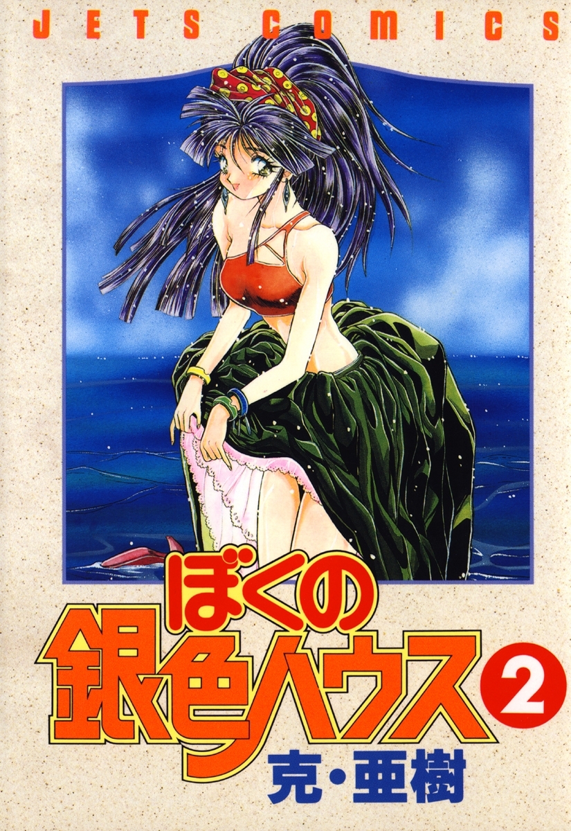 ぼくの銀色ハウス（２）